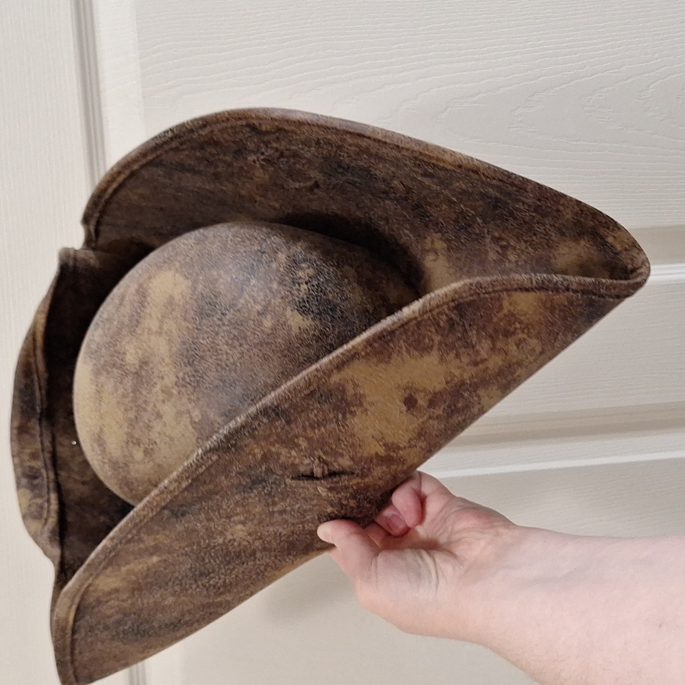 Disney World Pirate Hat 2023